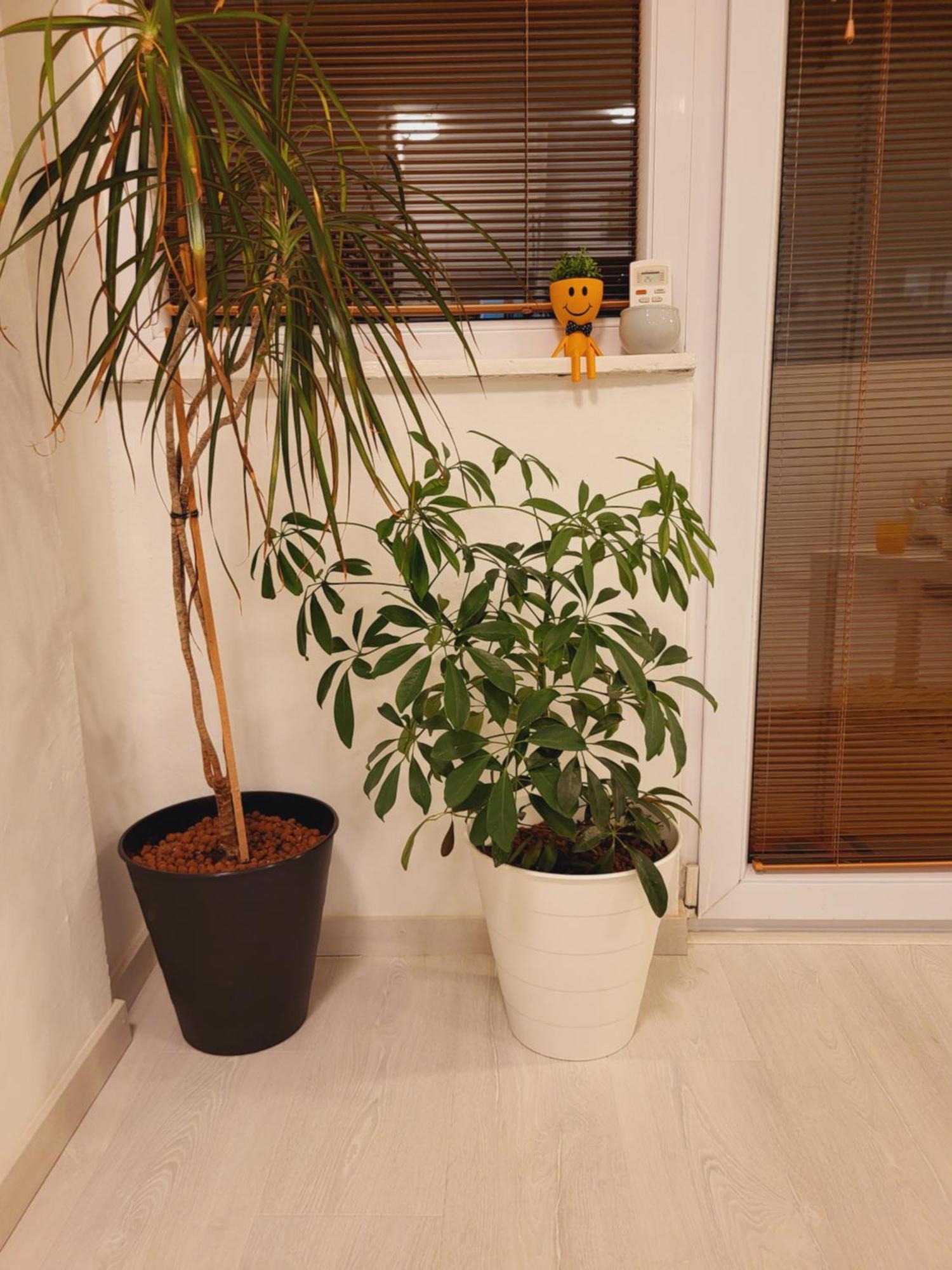 City Center White Apartment! سكوبجي المظهر الخارجي الصورة